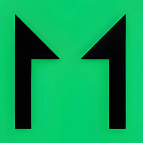 11Sight Logo