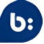 Bazaarvoice Logo