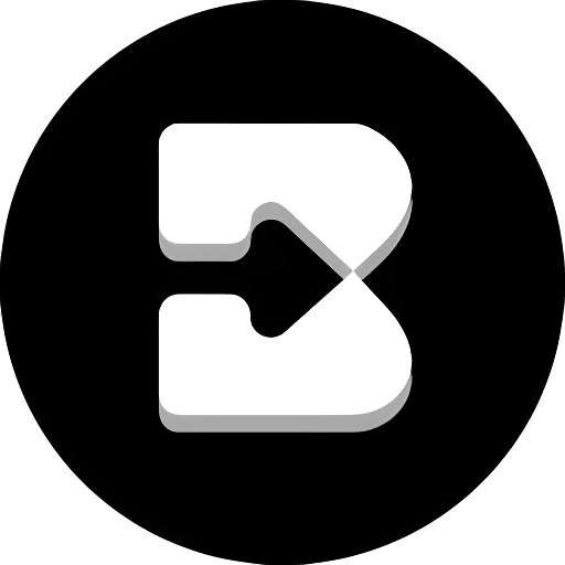 Brisk Teaching Logo
