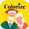 ImageColorizer.com Logo