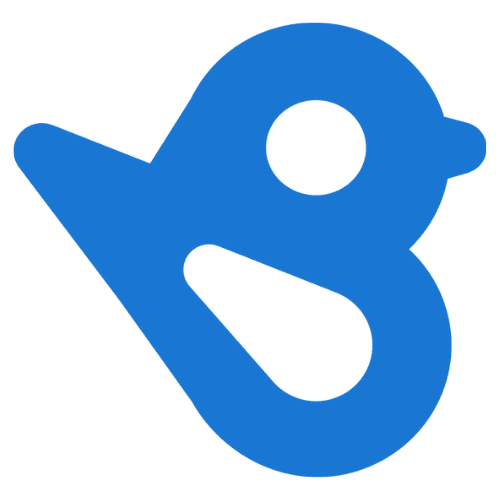 BirdEye Logo