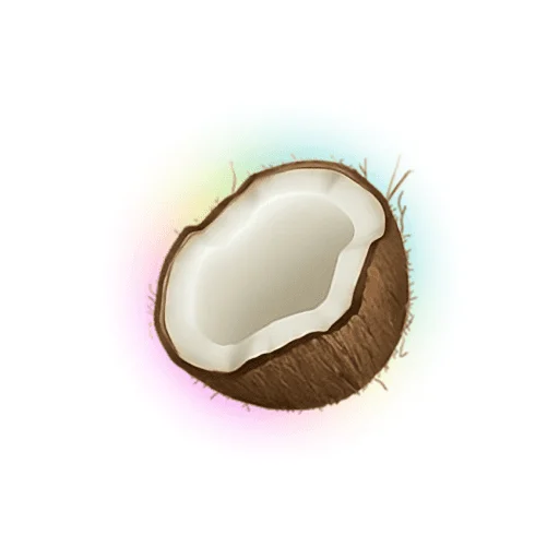 Coconote Logo