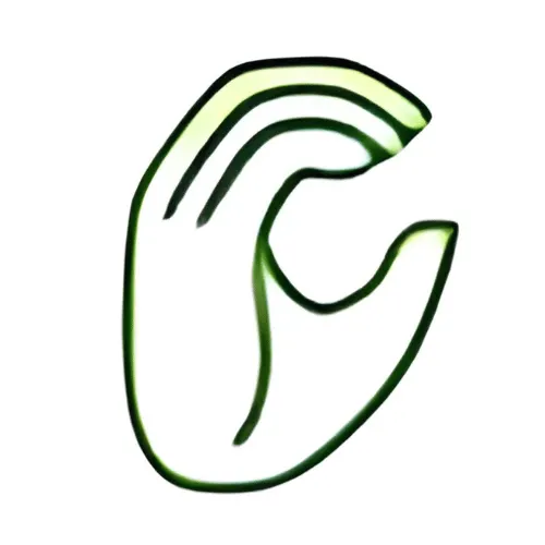 Copysai Logo