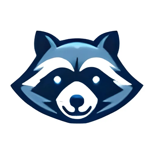 Data Raccoon Logo