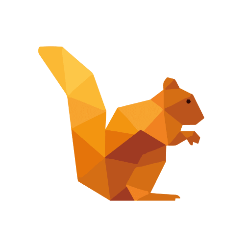 DataSquirrel logo