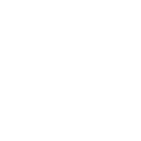 Fin Logo
