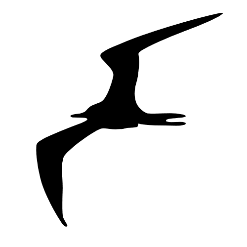 Frigate NVR Logo