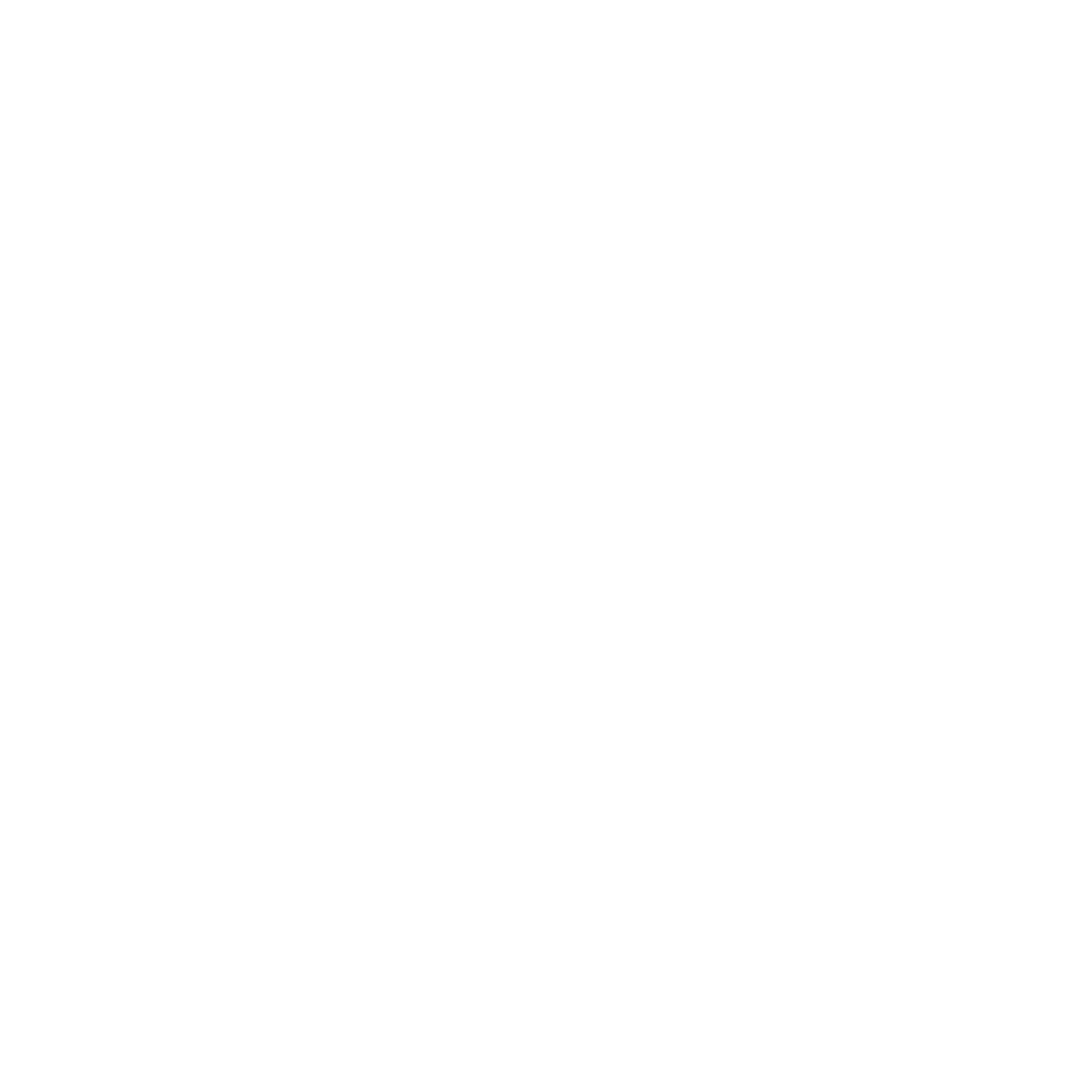 HitPaw Logo