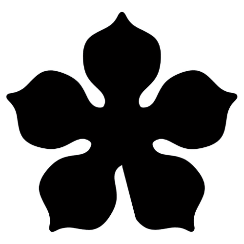 Image Variations Logo
