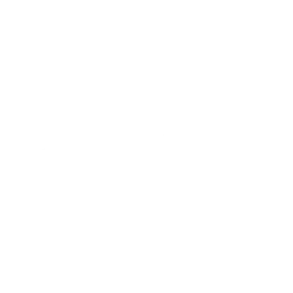 Lingvist Logo