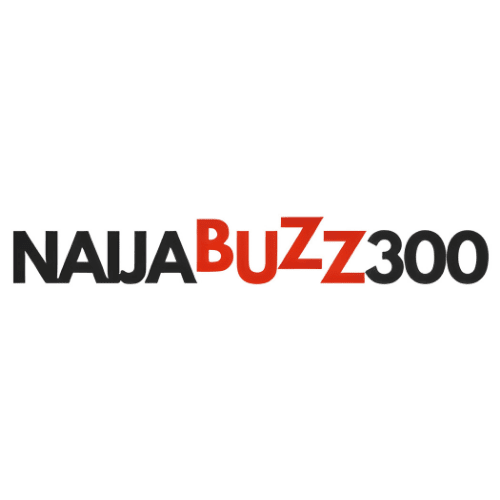 Naijabuzz300 Logo