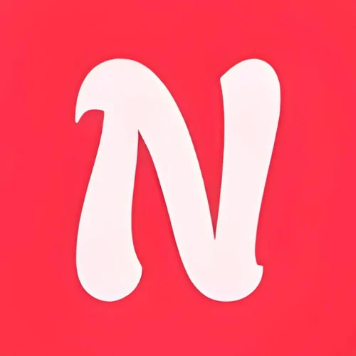 NameHassle Logo