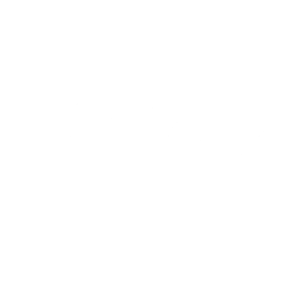 Noiz Logo