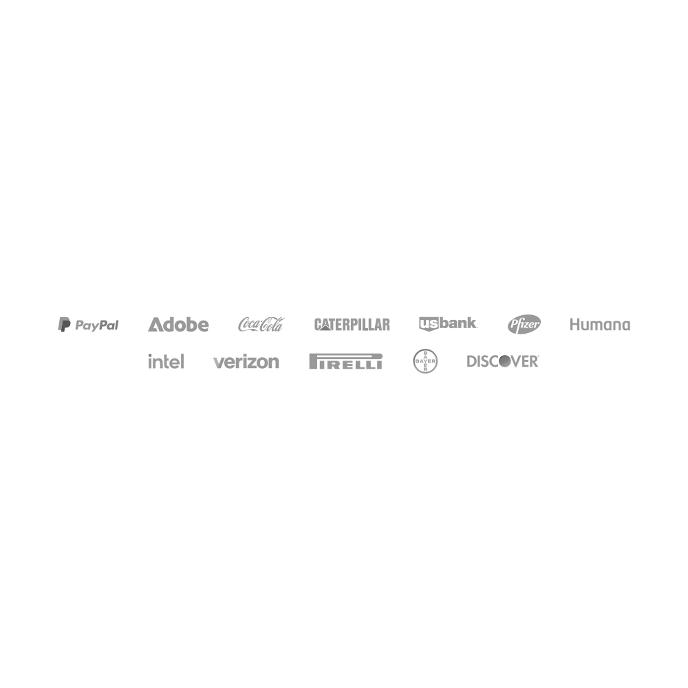 Northern Light Logo