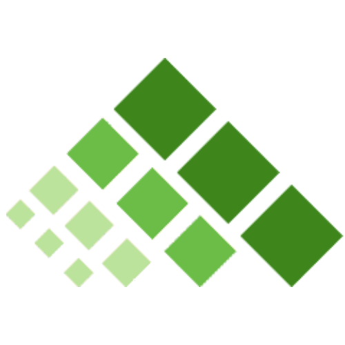 Patseer Logo