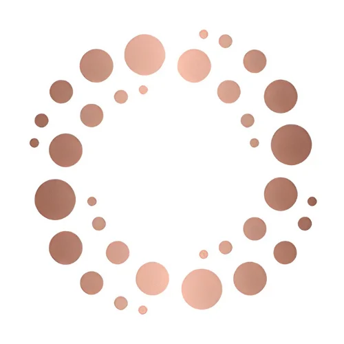 PerfAI Logo