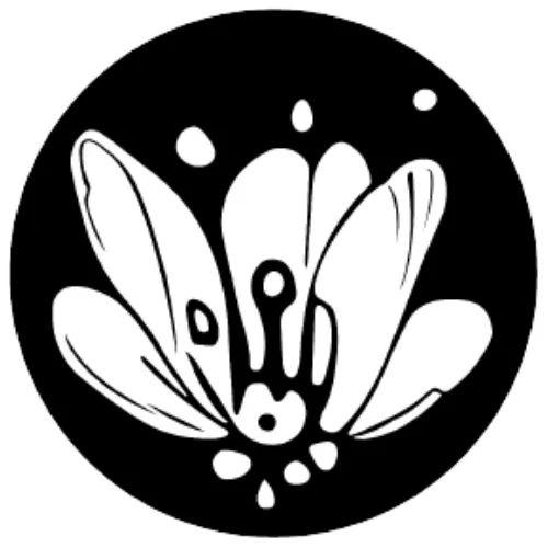 Pollinations Logo