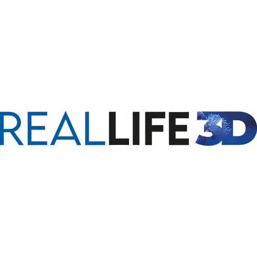 Real Life 3D Logo