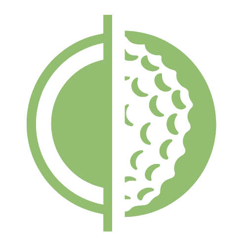 Scan My Golf Ball Logo