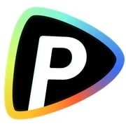 Pollo AI Logo