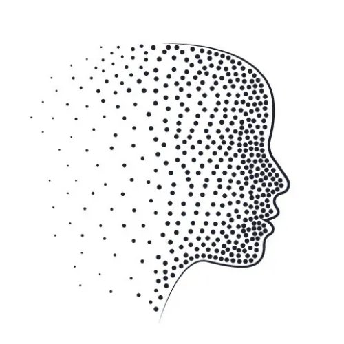 Setter Logo