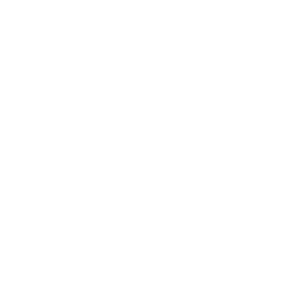 Somio Logo