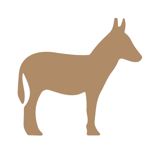 Song Donkey AI Logo