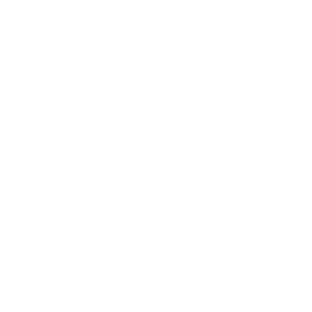 Vadoo AI Logo