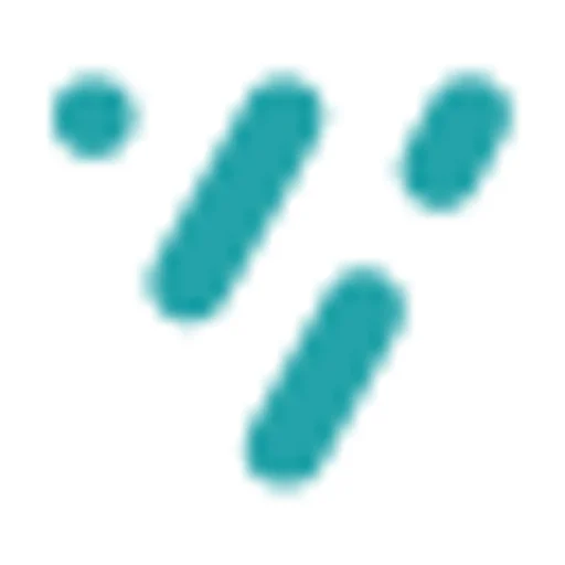 Visier Logo
