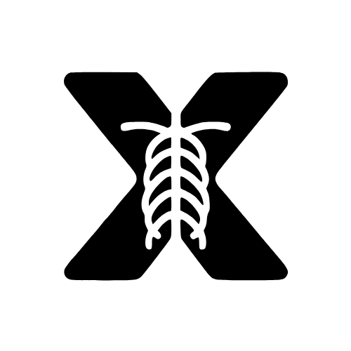 X-ray Interpreter Logo